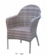 Lawn Chair